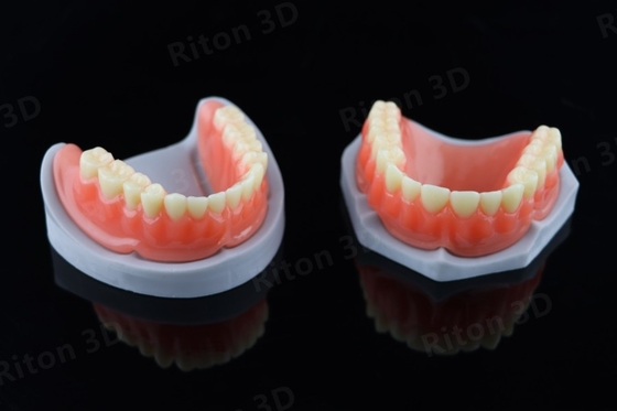 запах химической устойчивости смолы Denture принтера 3d небольшой