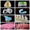 5 принтер смолы экрана касания 3D взгляда дюйма HD Multi для зубоврачебного печатания клиник
