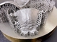 Автоматический промышленный SLM принтера титана 3D ранга увенчивает зубоврачебные кронштейны