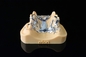 Керамический свет принтера титана 3D зубов леча зубоврачебный принтер синтера металла лазера